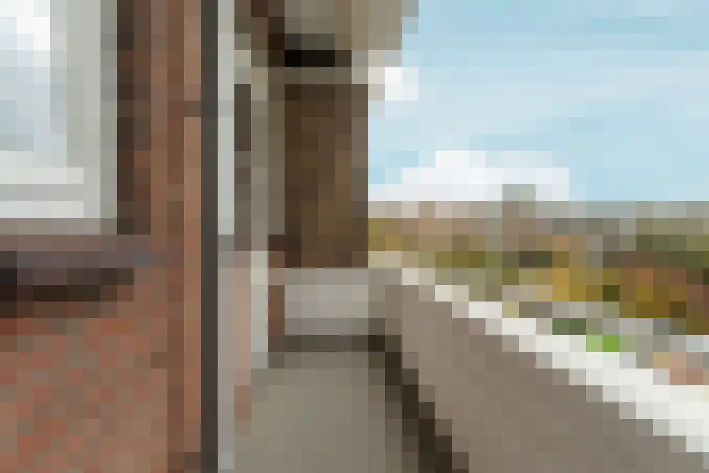 Aronskelkweg 42 Den Haag thumbnail 8