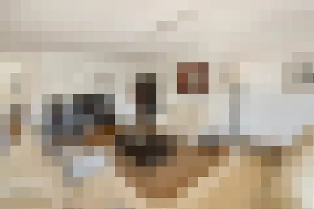 Aronskelkweg 42 Wassenaar thumbnail 12