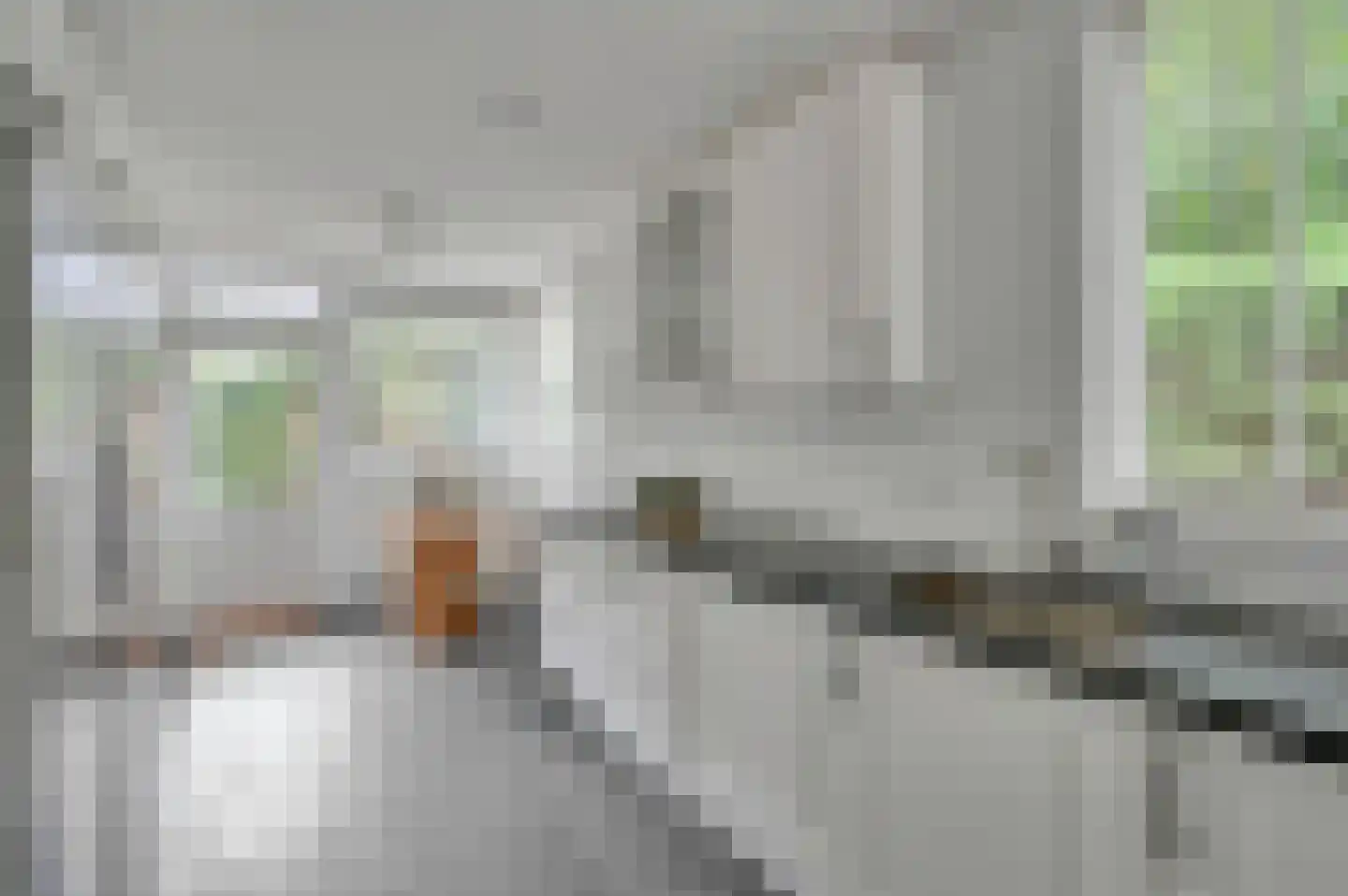 Aronskelkweg 42 Wassenaar thumbnail 16