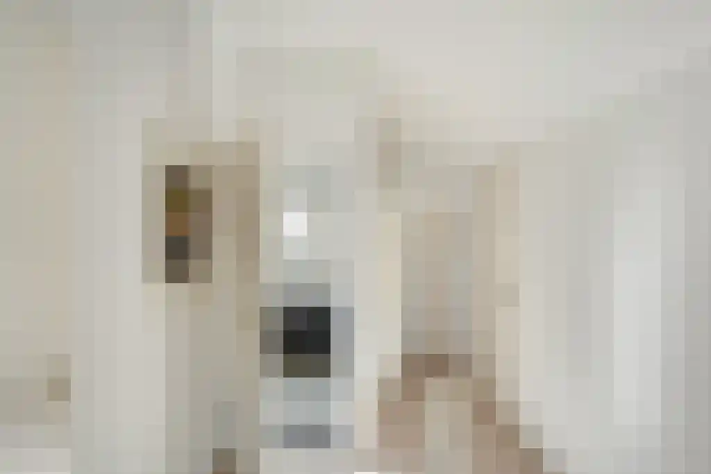 Aronskelkweg 42 Wassenaar thumbnail 31