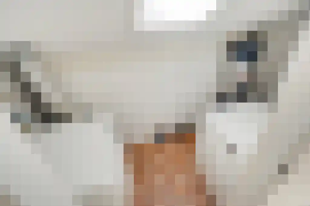 Aronskelkweg 42 Wassenaar thumbnail 33