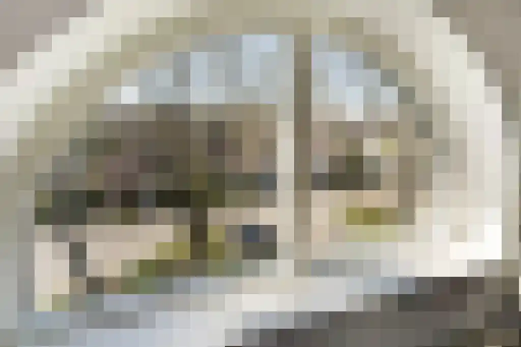 Aronskelkweg 42 Wassenaar thumbnail 35
