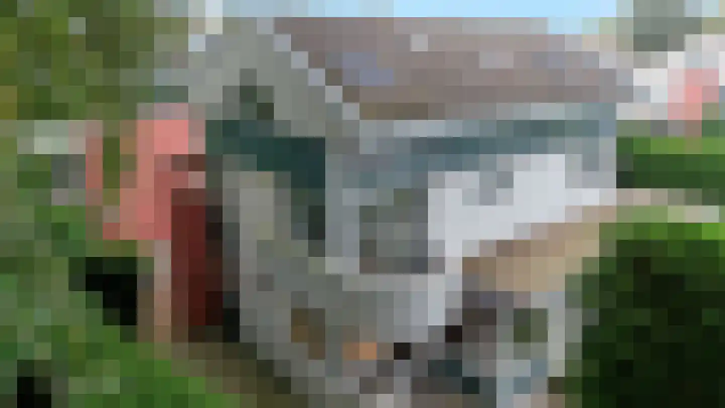 Aronskelkweg 42 Wassenaar thumbnail 5
