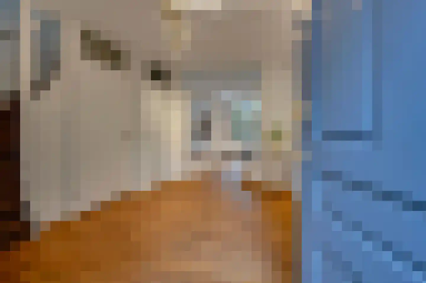 Aronskelkweg 42 Wassenaar thumbnail 6