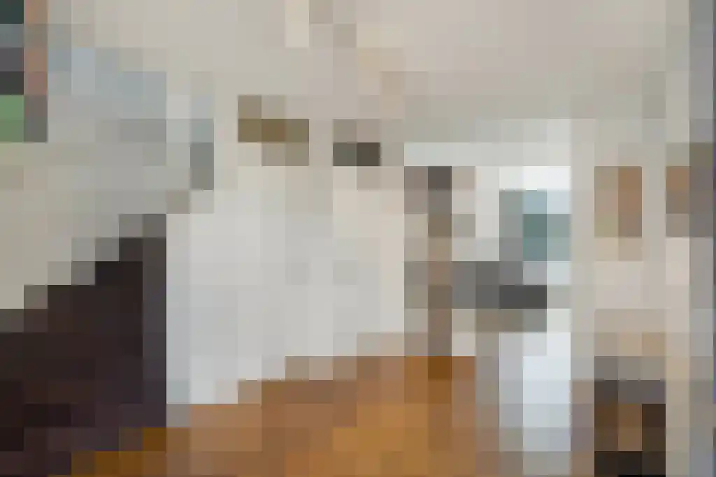 Aronskelkweg 42 Wassenaar thumbnail 7