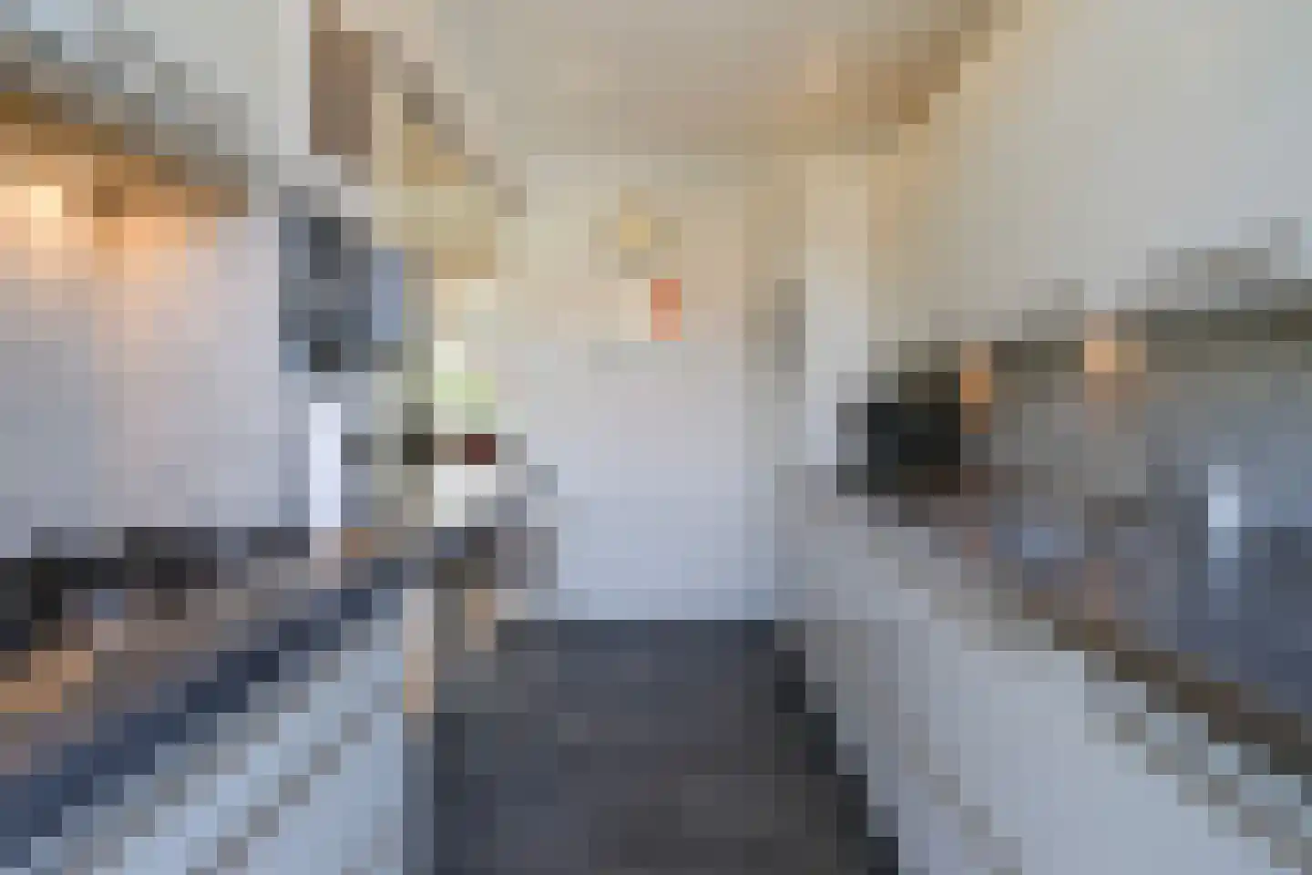 Aronskelkweg 55 Den Haag thumbnail 17