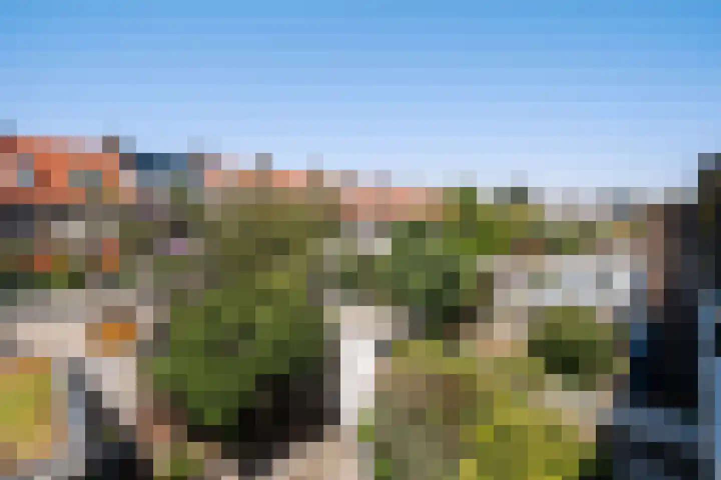 Aronskelkweg 55 Den Haag thumbnail 30
