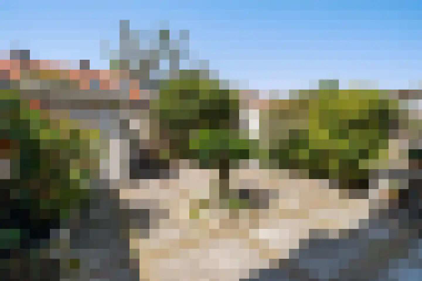Aronskelkweg 55 Den Haag thumbnail 4