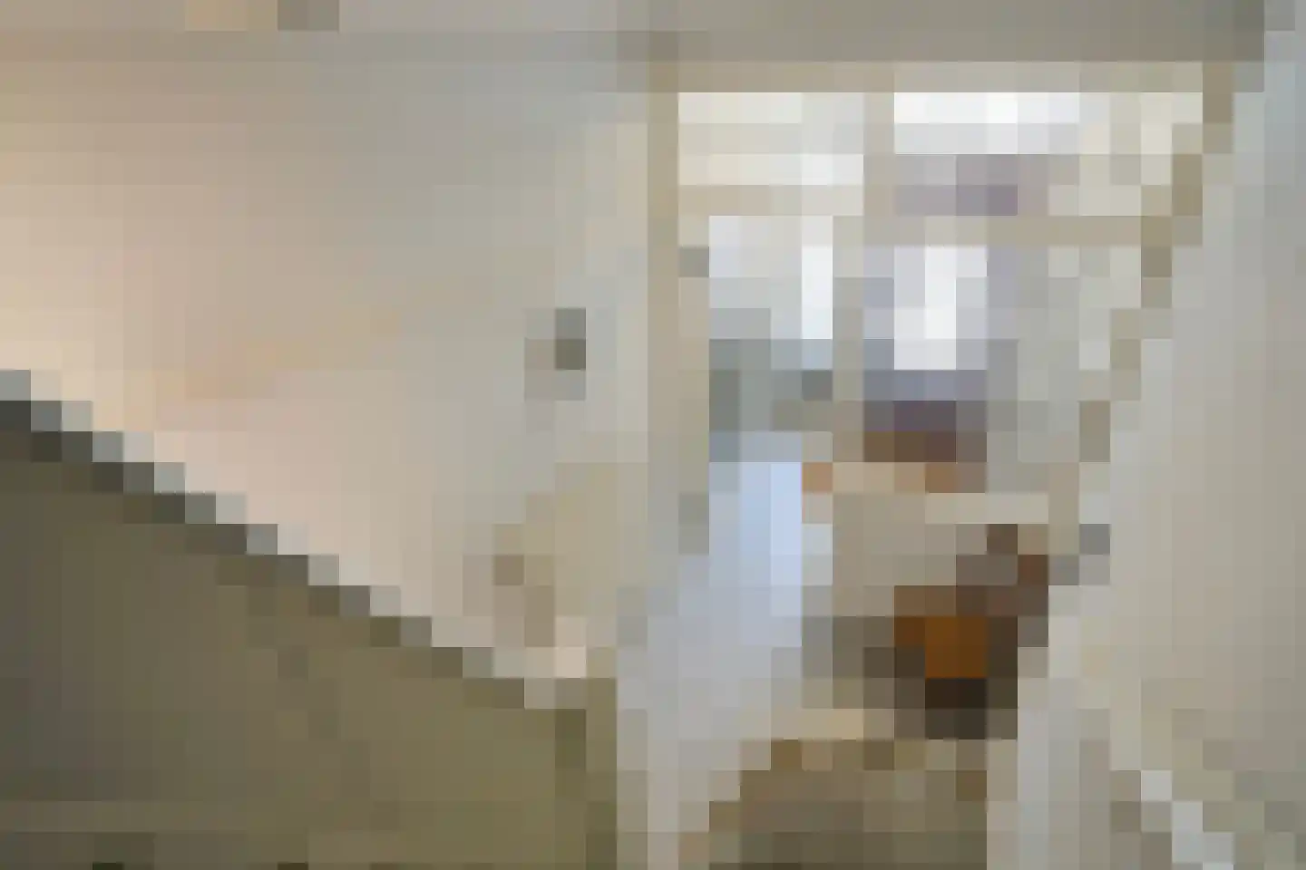 Aronskelkweg 55 Den Haag thumbnail 52