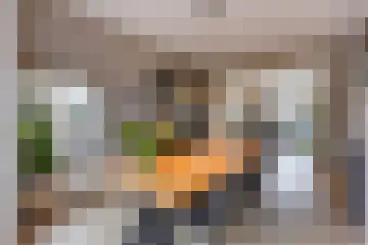Aronskelkweg 70 Den Haag thumbnail 15