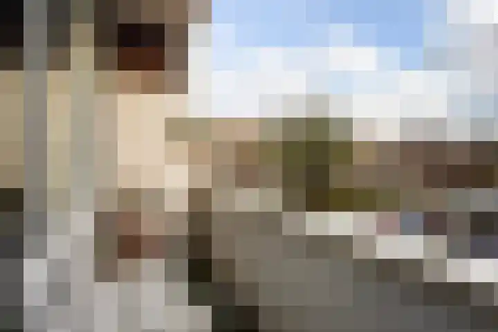Aronskelkweg 70 Den Haag thumbnail 20