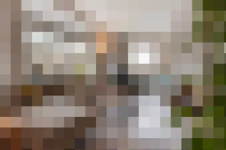 Aronskelkweg 70 Den Haag thumbnail 5