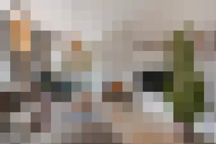 Aronskelkweg 70 Den Haag thumbnail 6