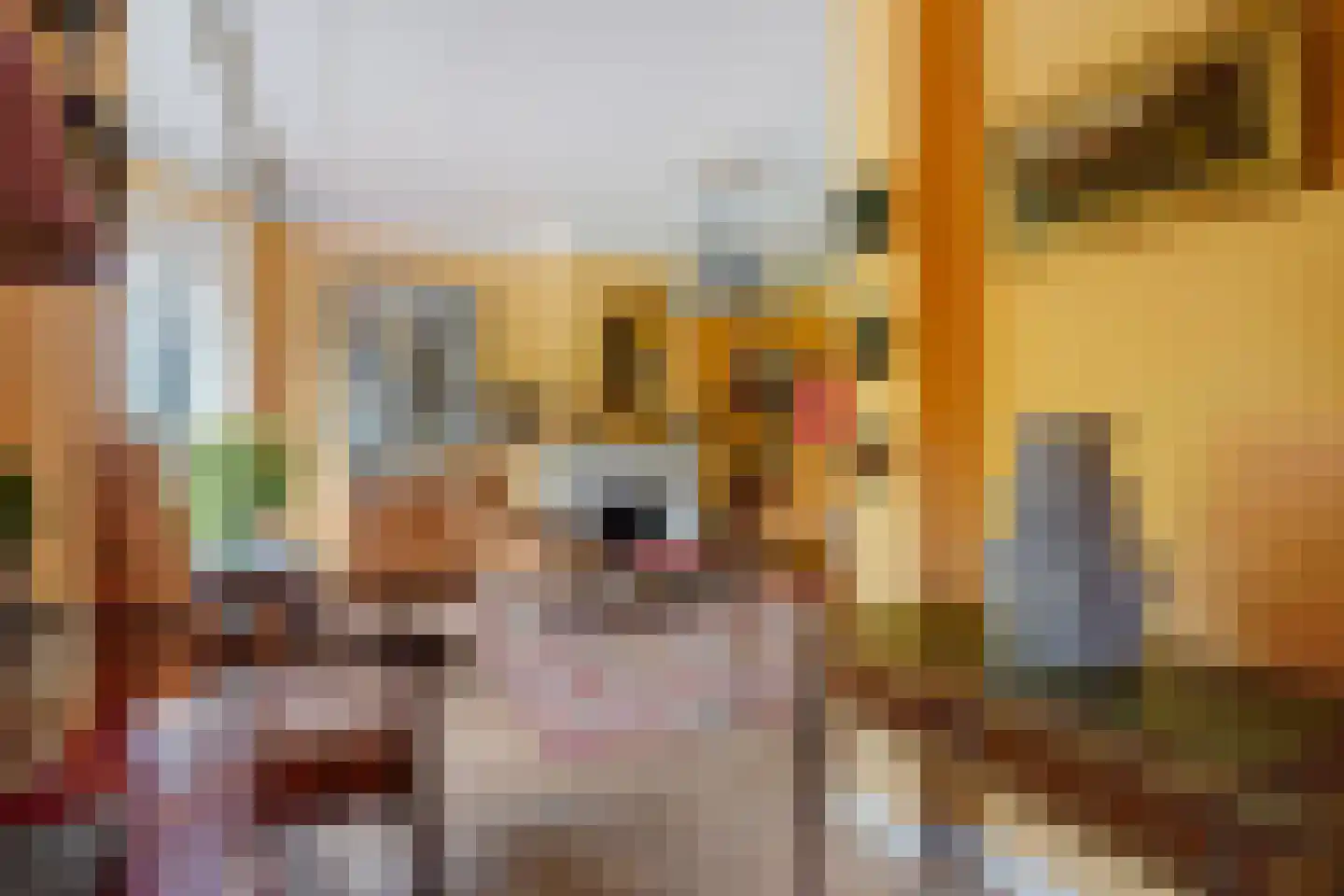 Aronskelkweg 76 Den Haag thumbnail 10
