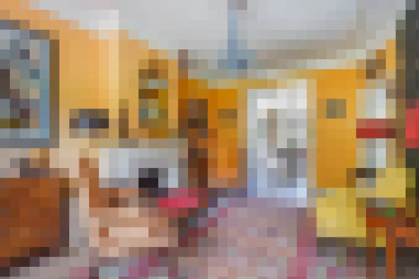 Aronskelkweg 76 Den Haag thumbnail 11