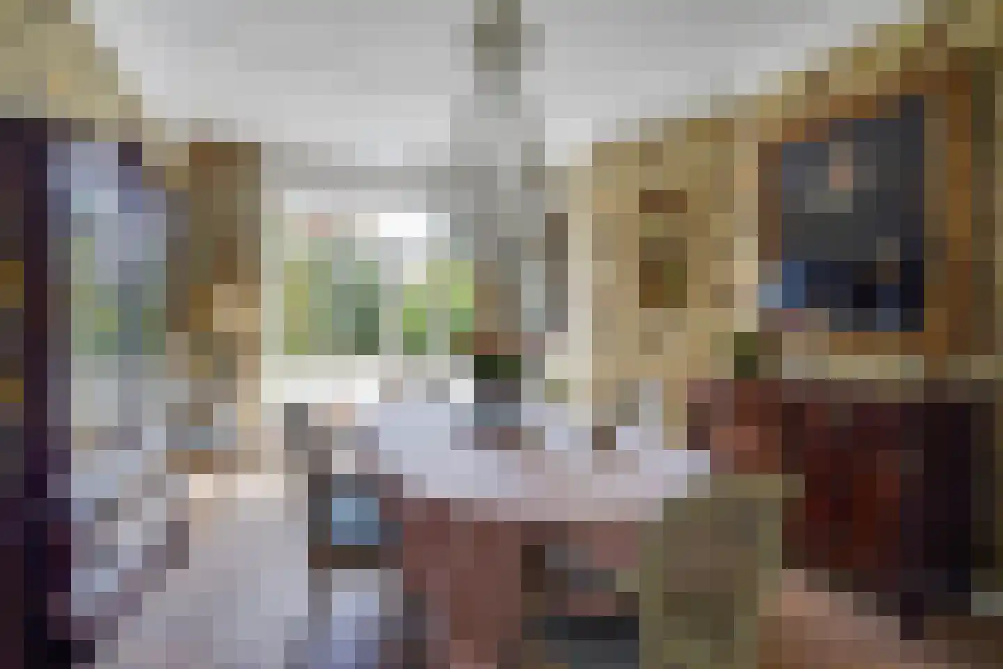 Aronskelkweg 76 Den Haag thumbnail 14