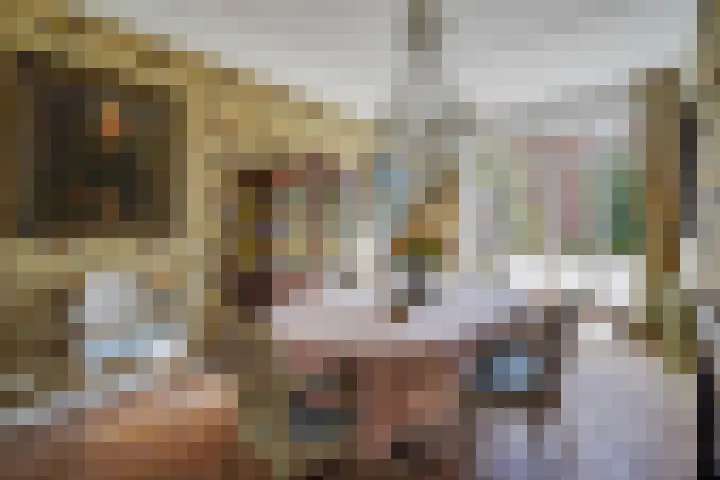 Aronskelkweg 76 Den Haag thumbnail 16