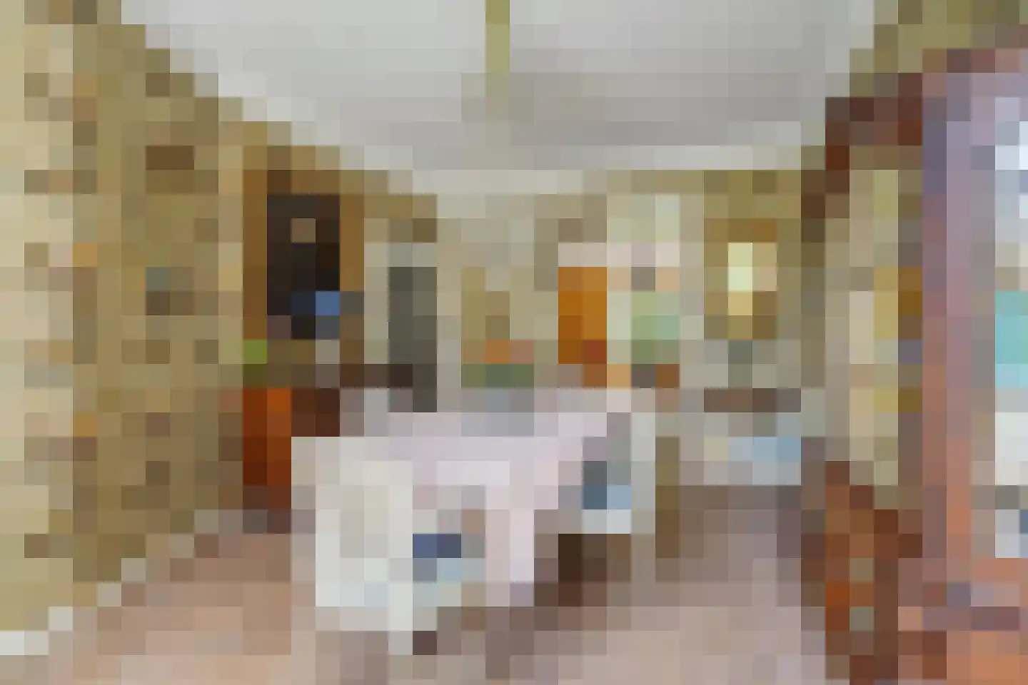 Aronskelkweg 76 Den Haag thumbnail 18
