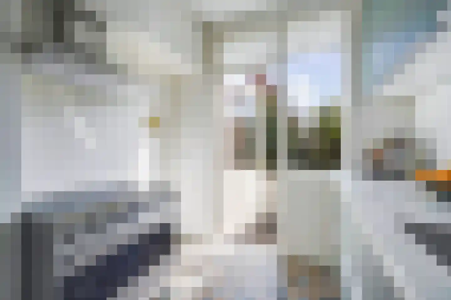Aronskelkweg 76 Den Haag thumbnail 21