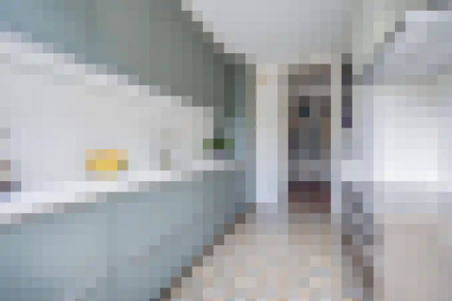 Aronskelkweg 76 Den Haag thumbnail 24