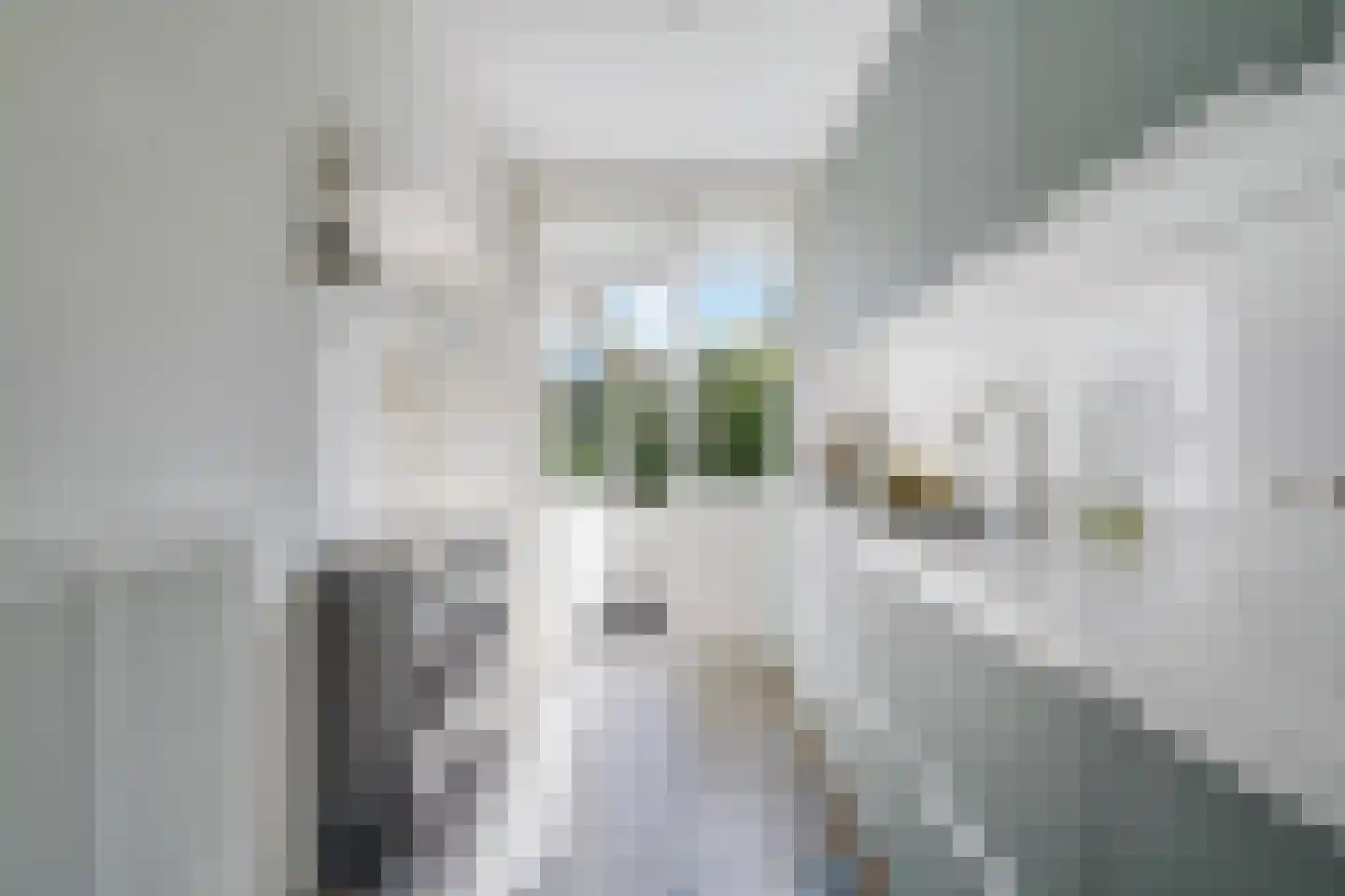 Aronskelkweg 76 Den Haag thumbnail 4