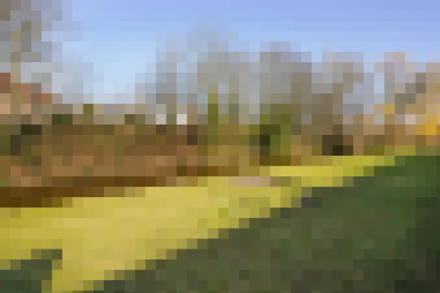 Aronskelkweg 76 Den Haag thumbnail 63