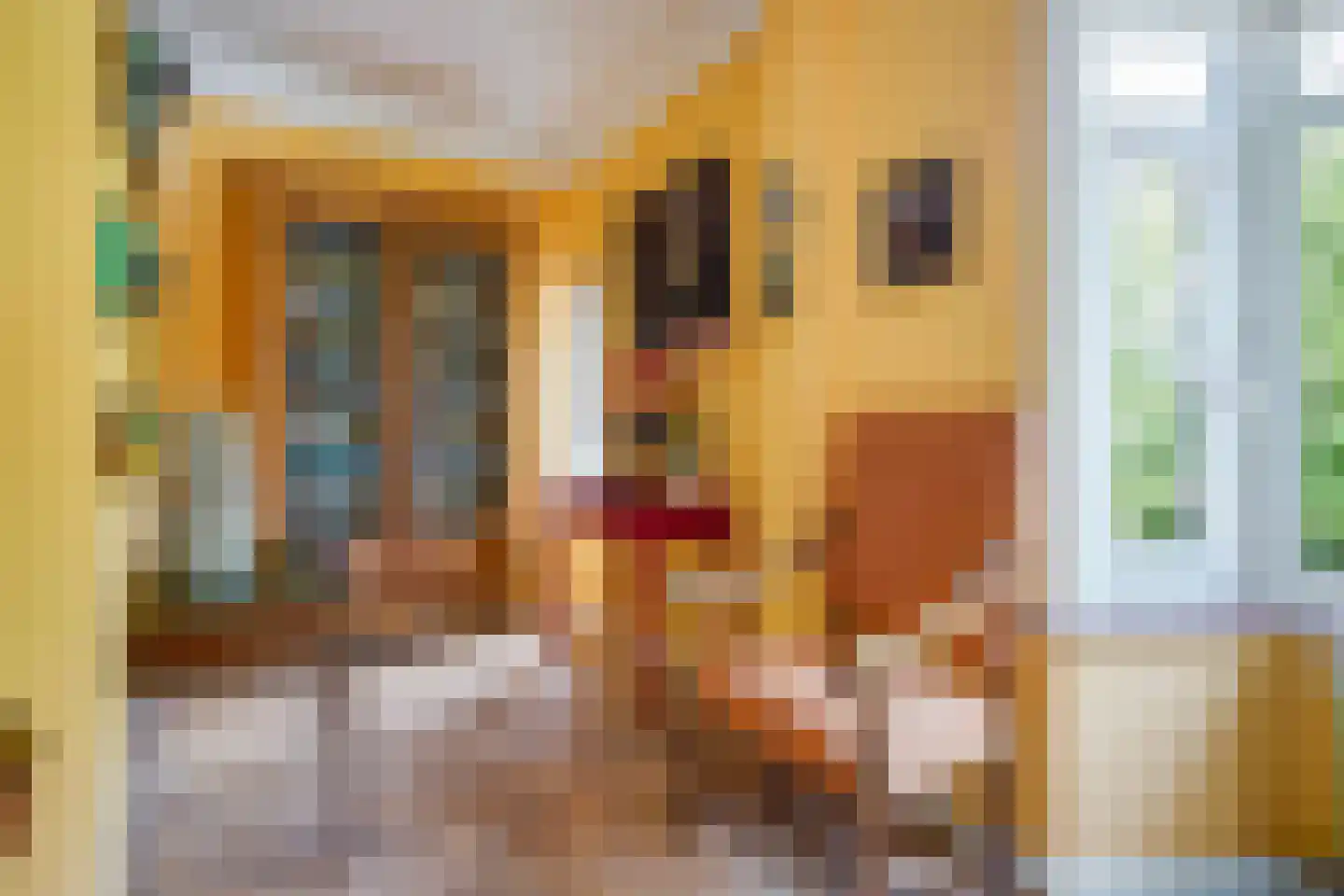 Aronskelkweg 76 Den Haag thumbnail 9