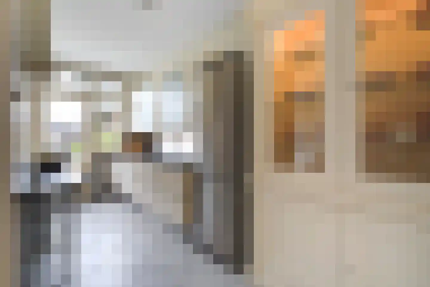 Aronskelkweg 82 Den Haag thumbnail 16