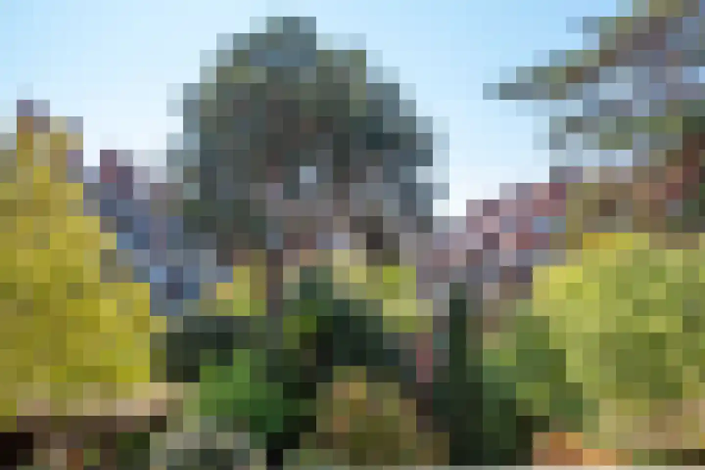 Aronskelkweg 82 Den Haag thumbnail 16