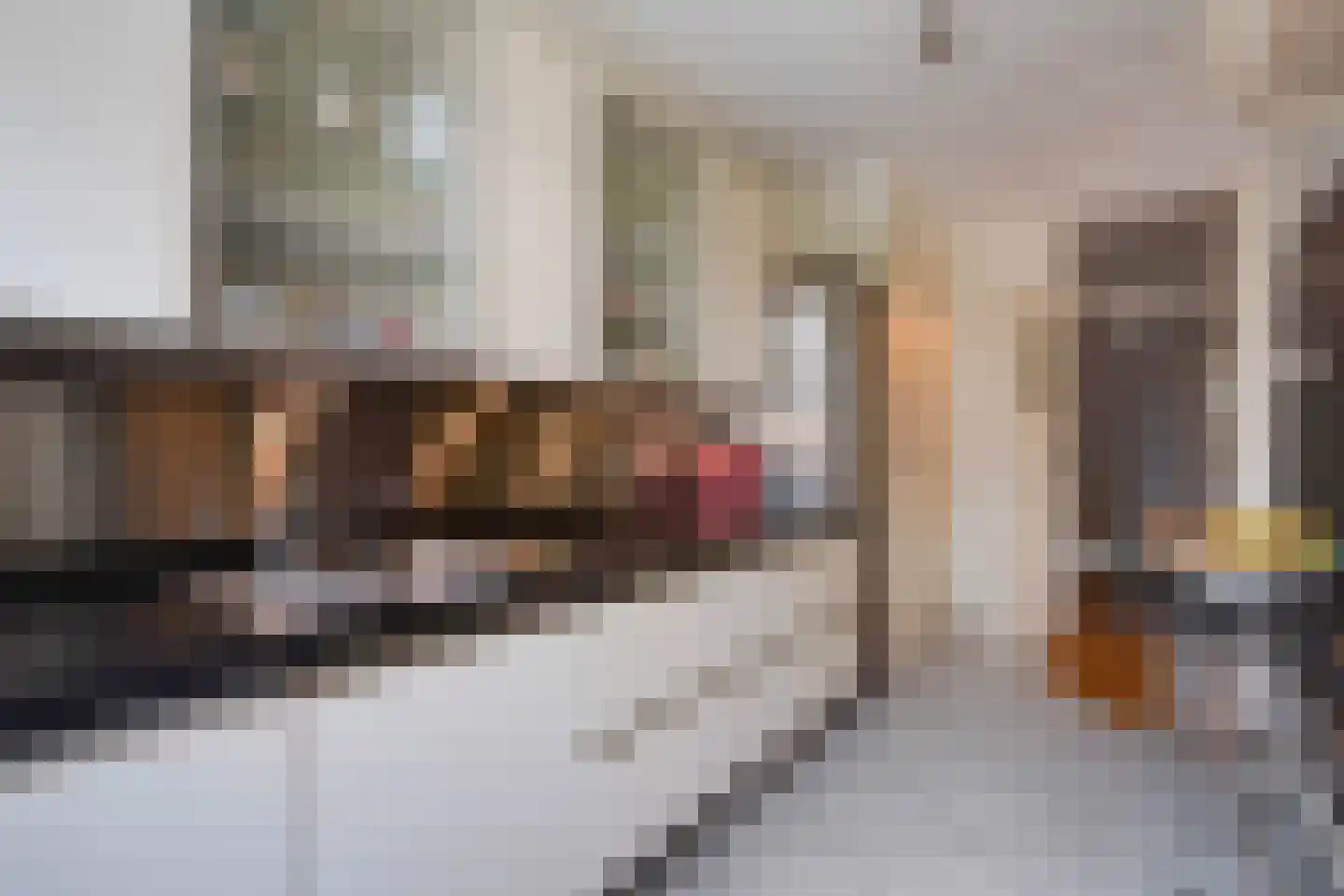 Aronskelkweg 82 Den Haag thumbnail 17