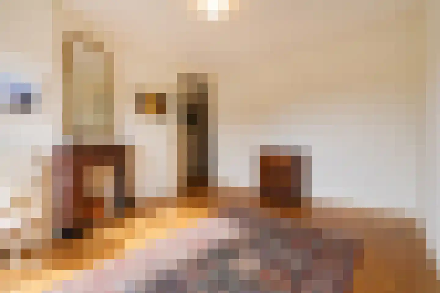 Aronskelkweg 82 Den Haag thumbnail 19