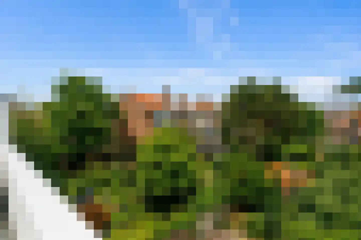 Aronskelkweg 82 Den Haag thumbnail 23