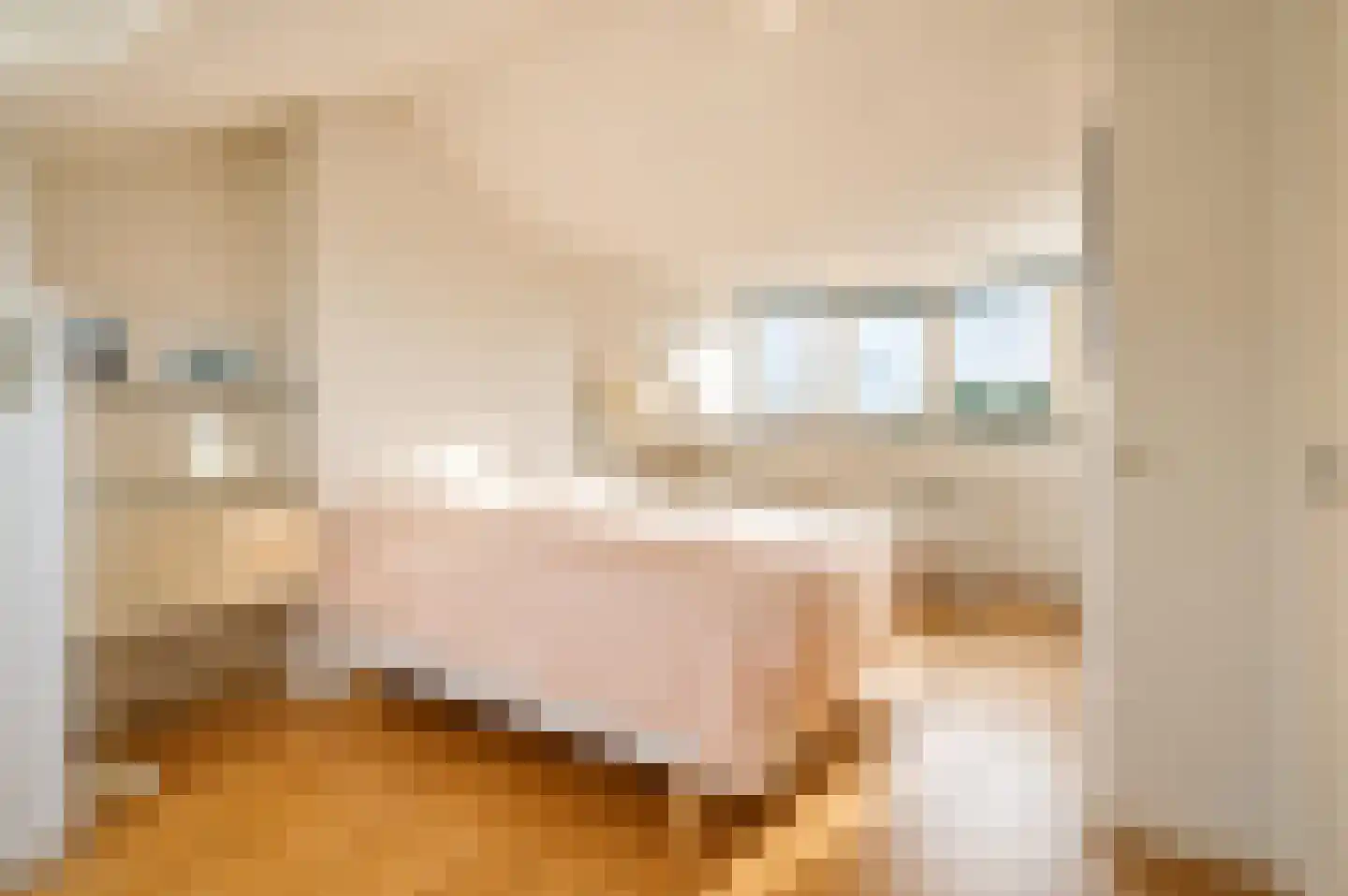 Aronskelkweg 82 Den Haag thumbnail 29