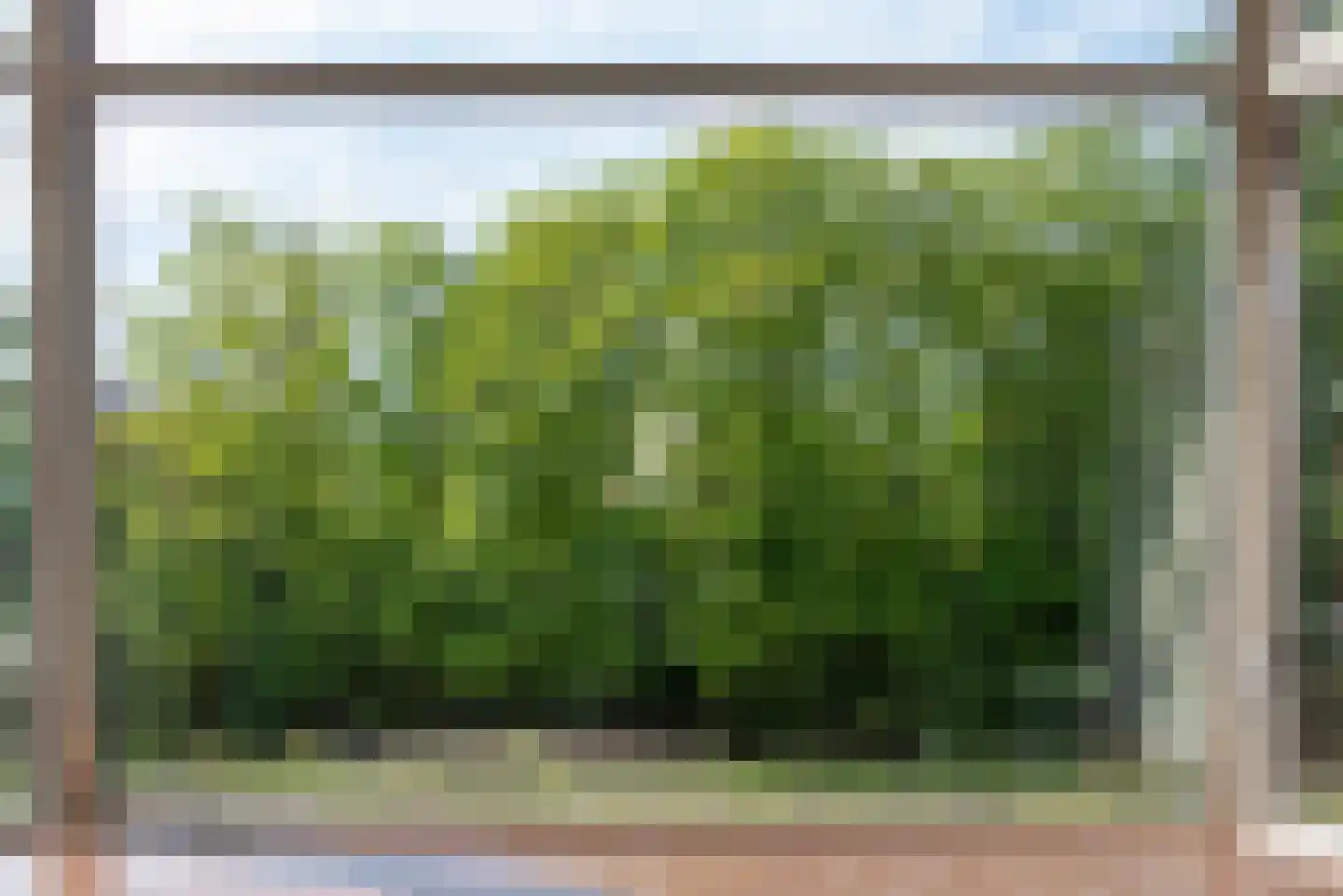 Aronskelkweg 82 Den Haag thumbnail 7