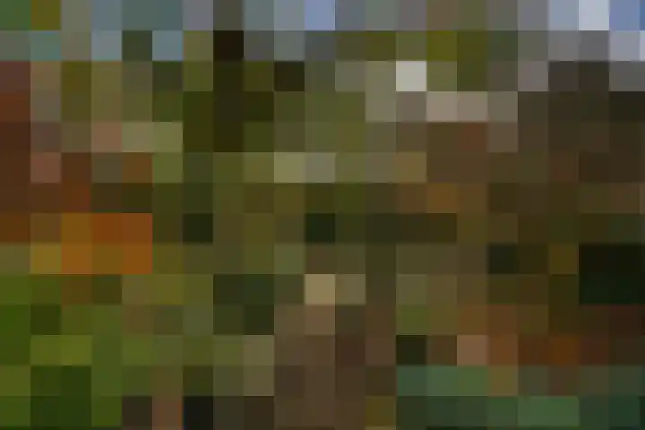 Aronskelkweg 84 en Den Haag