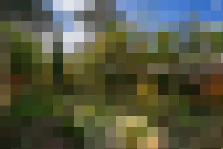 Aronskelkweg 84 Den Haag thumbnail 15