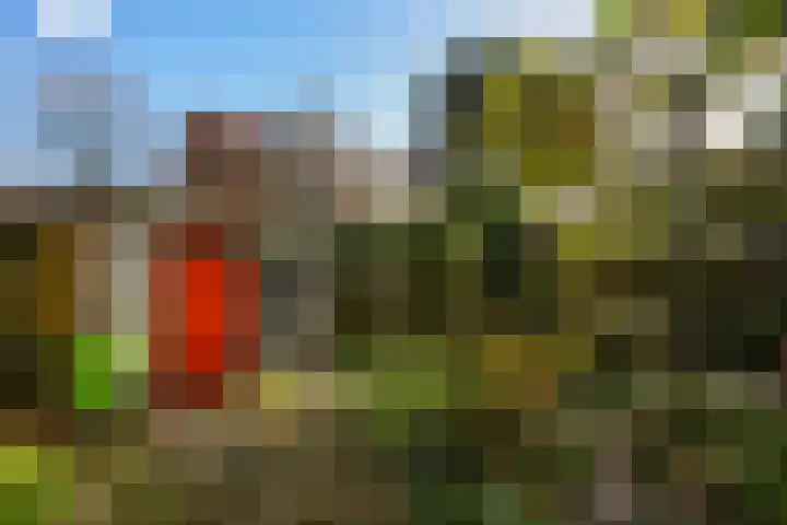 Aronskelkweg 84 Den Haag thumbnail 16