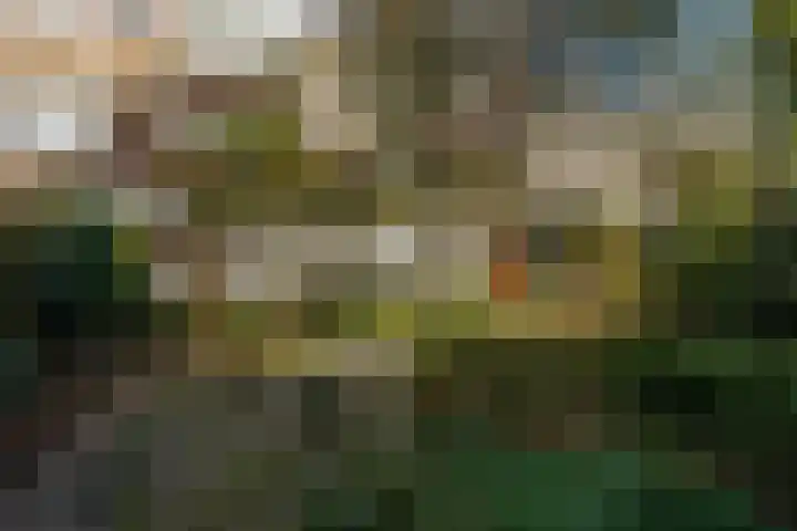 Aronskelkweg 84 Den Haag thumbnail 17