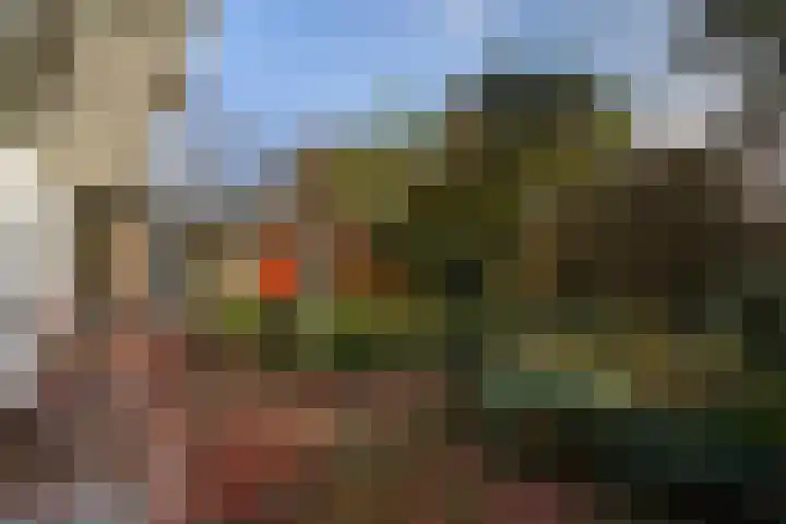 Aronskelkweg 84 Den Haag thumbnail 18