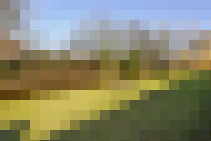 Aronskelkweg 84 Den Haag thumbnail 34
