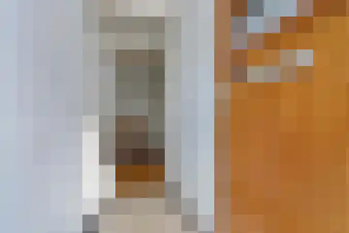 Aronskelkweg 84 Den Haag thumbnail 5