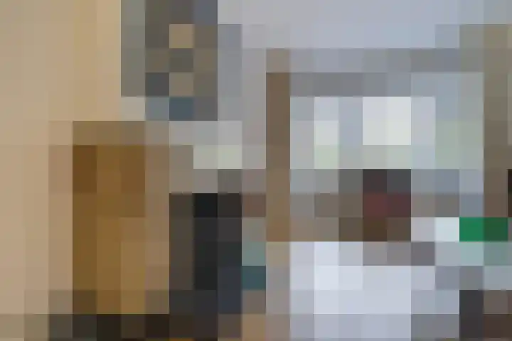 Aronskelkweg 84 Den Haag thumbnail 9