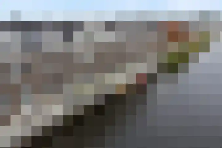 Arsenaal 11 Blauwestad thumbnail 26
