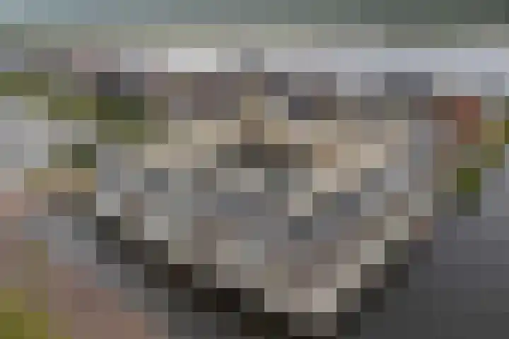 Arsenaal 11 Blauwestad thumbnail 27
