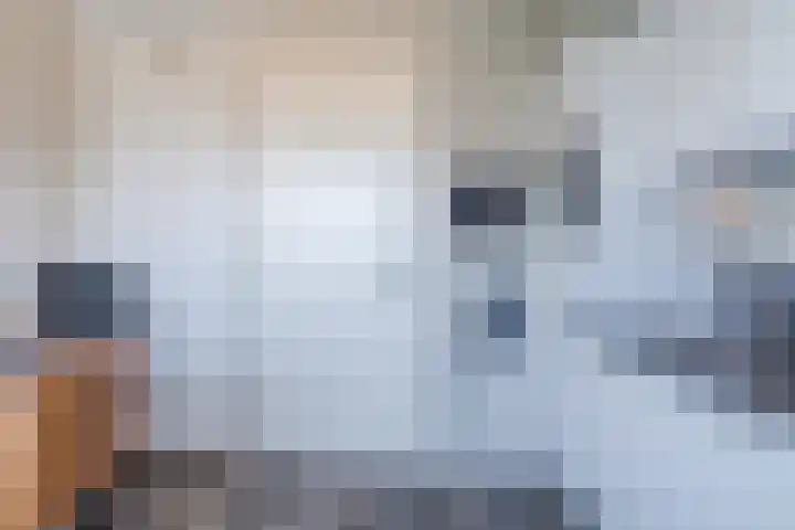 Arsenaal 3 Culemborg thumbnail 7