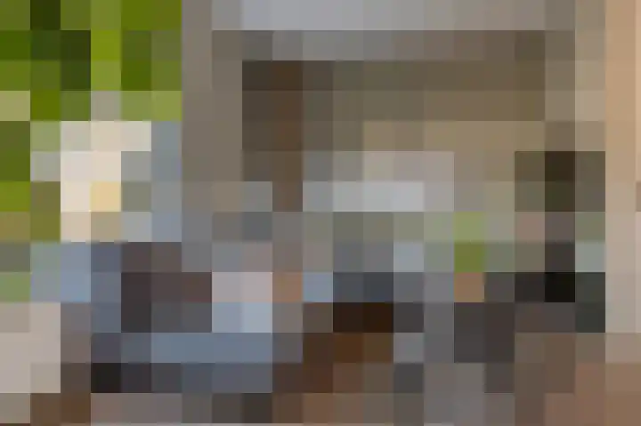 Arsenaal 32 Steenwijk thumbnail 8