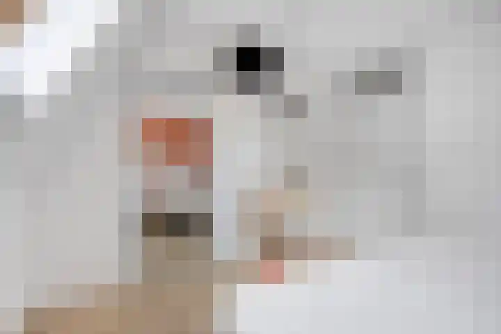 Arsenaal 35 Vijfhuizen thumbnail 18