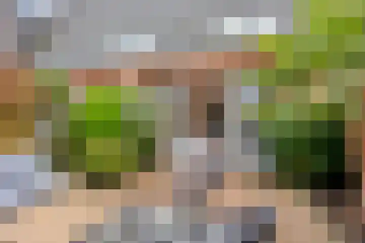 Arsenaal 35 Vijfhuizen thumbnail 30