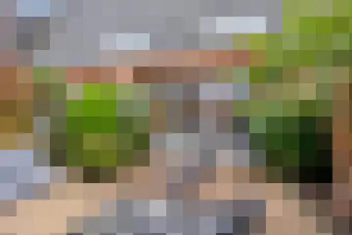 Arsenaal 35 Vijfhuizen thumbnail 31