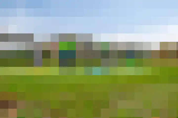 Arsenaal 35 Vijfhuizen thumbnail 34